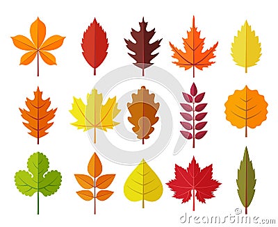 Autumn leaves set, isolated on white background. simple cartoon flat style, vector illustration. Vector Illustration