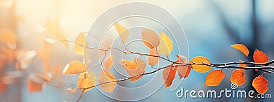 Autumn Leaves On Shimmering Blurred Background Stock Photo