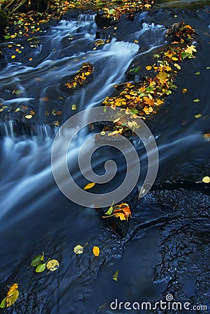 Autumn leaves on stream Stock Photo