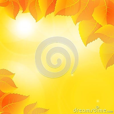 Autumn leaves on a sunny sky background Vector Illustration