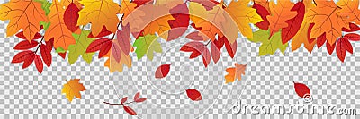 Autumn leaves on transparent background. Fall illustration with colorful leaf banner. Collection of red and orange leaves. Falling Vector Illustration