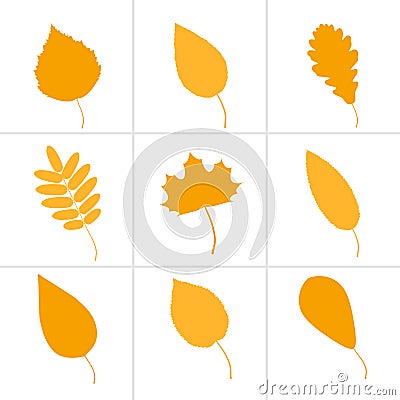 Autumn leaves of various trees. Set of icons. Vector Illustration