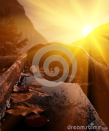 Autumn leaves on water of trough Stock Photo