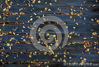 Autumn leaves on the wet boards Stock Photo