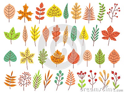 Autumn leaves. Yellow autumnal garden leaf, red fall leaf and fallen dry leaves flat vector set Vector Illustration