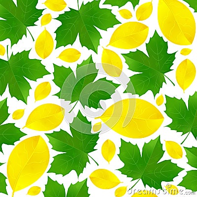 Autumn leaves of yellow and green. Falling leaves on a white background. Stock Photo