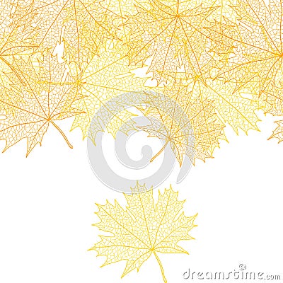 Autumn macro leaf of maple. Vector bacground Vector Illustration