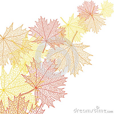 Autumn macro leaf of maple. Vector bacground Vector Illustration