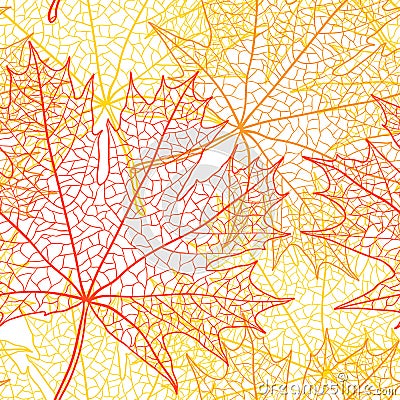 Autumn macro leaf of maple. Vector bacground Vector Illustration
