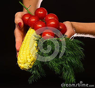 Autumn maize harvest idea. Female hands hold vegetables Stock Photo