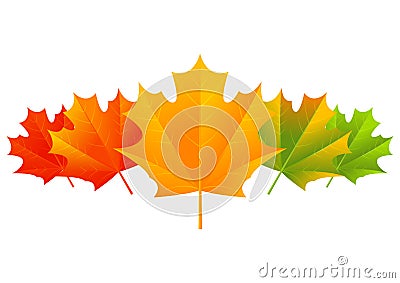 Autumn maple border Vector Illustration