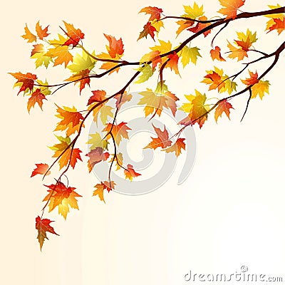 Autumn maple branch Vector Illustration