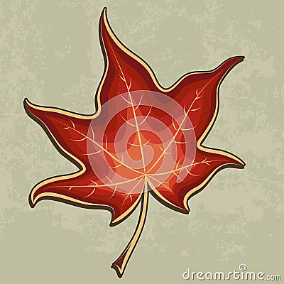 Autumn maple leaf Vector Illustration