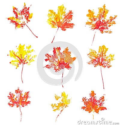 Autumn maple leaves imprint watercolor Stock Photo