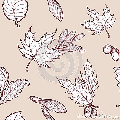 Autumn maple leaves and seads seamless pattern Vector Illustration