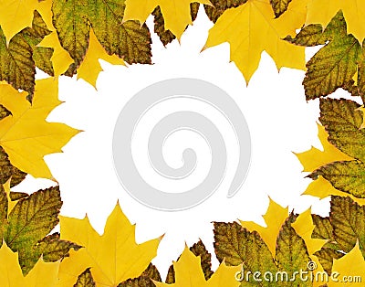 Autumn maple leaves in a seasonal frame isolated on white Stock Photo