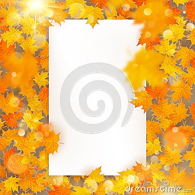 Autumn maple leaves template with white paper card. EPS 10 Vector Illustration