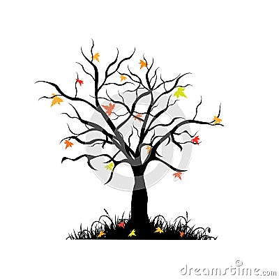 Autumn maple tree Vector Illustration