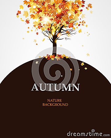 Autumn maple tree Vector Illustration