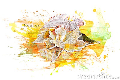 Autumn Maple Tree Leaves Watercolor Art Illustration Yellow Orange Green White - Background Isolated Text Body Copy Space Stock Photo