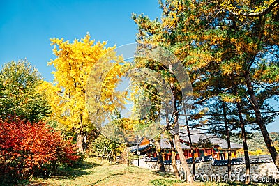 Autumn maple trees and Korean traditional house at Namhansanseong Fortress in Gwangju, Korea Stock Photo
