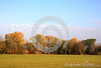 Autumn meadow Stock Photo