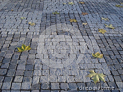 Autumn melancholia Stock Photo