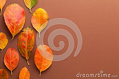 Autumn Minimal Background With Orange Leaves Stock Photo