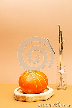 Autumn minimalistic still life with pumpkin and dried field spikelets. Stock Photo