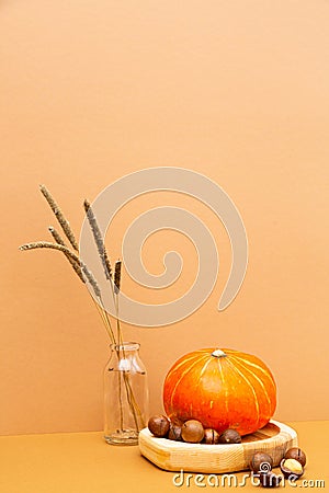 Autumn minimalistic still life with pumpkin and dried field spikelets. Stock Photo