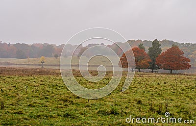 Autumn mist Stock Photo