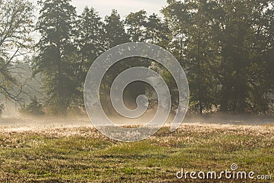 Autumn mists rising over the meadows in the morning. Stock Photo