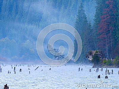 Autumn misty day on Lacu Rosu or Red Lake located in Harghita, Romania Stock Photo