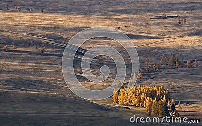 Autumn Mongolian landscape: high-altitude steppe with small groves of larch, illuminated by the sun. Roads in the steppe. Western Stock Photo