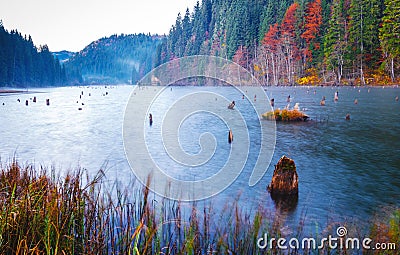 Autumn morning on Lacul Rosu or Red Lake located in Harghita, Romania Stock Photo