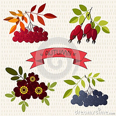 Autumn. Mountain ash, chokeberry, rose, marigold Vector Illustration