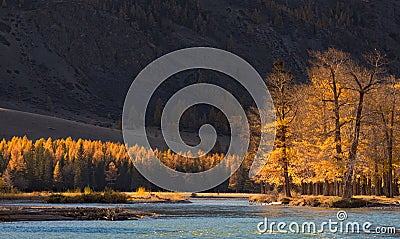 Autumn mountain landscape with sunlit trees and a cold blue rive Stock Photo