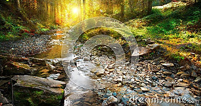 Autumn. Mountain spring, forest landscape Stock Photo