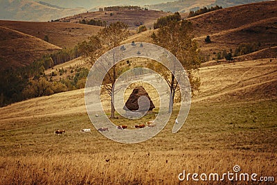 Autumn morning In the mountain of Transylvania, nature travel on the country side of Romania Stock Photo