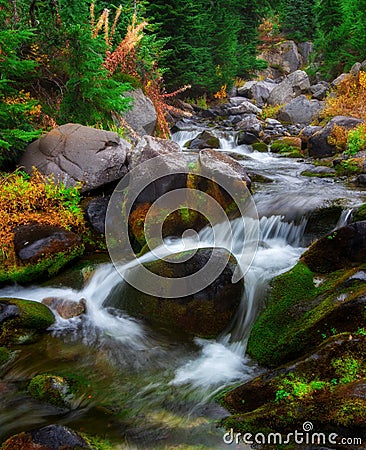 Autumn in Mt. Rainier National Park, Washington State Stock Photo