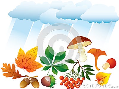 Autumn natural objects Vector Illustration
