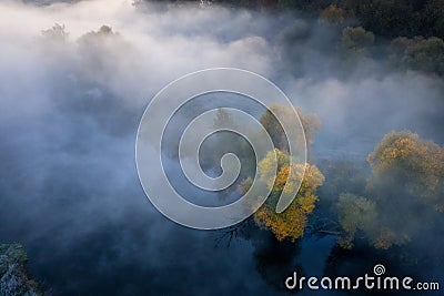 Autumn nature aerial view. Yellow autumnal trees in fog from above. October nature landscape in misty morning Stock Photo