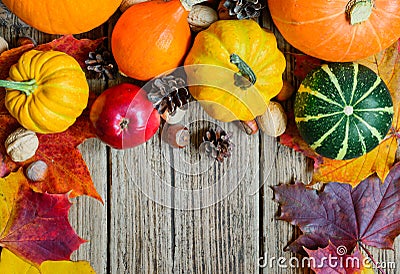 Autumn nature concept. Fall fruit and vegetables with maple leaves, nuts and pine cones Stock Photo