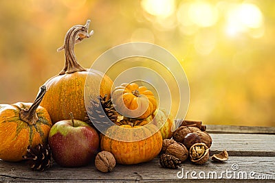 Autumn nature concept Stock Photo