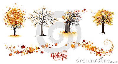 Trees and leaves Vector Illustration