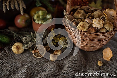 Autumn nature gifts Stock Photo