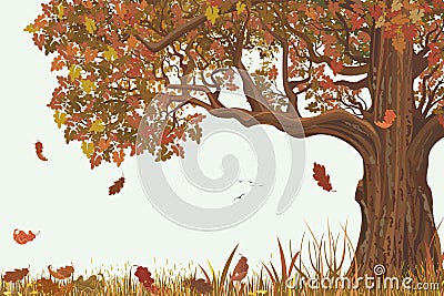 Autumn oak Vector Illustration