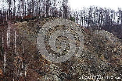 Autumn in October through the beech forests of the Buzau mountains Stock Photo