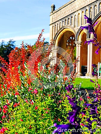 Autumn, October, garden, colourful, red, purple Stock Photo