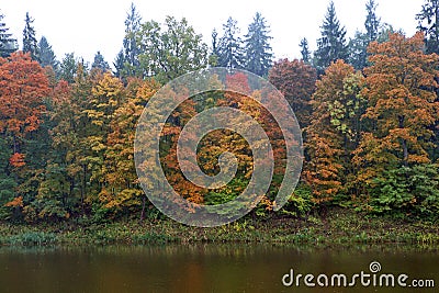 Ogre river in city of Ogre, Latvija. Stock Photo